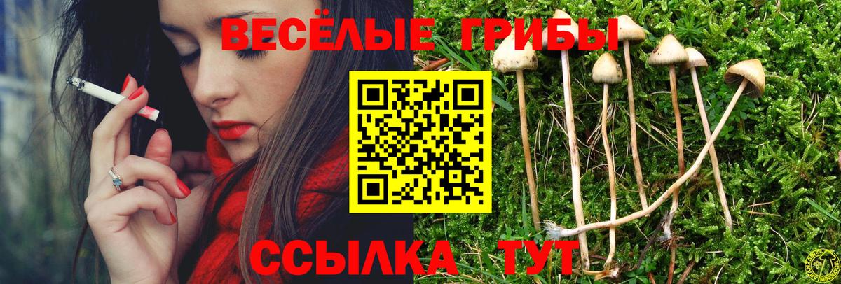 Донецк  Псилоцибиновые грибы мицелий  Вход с VPN  Псилоцибиновые грибы мухоморы 
